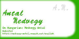 antal medvegy business card